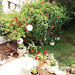 Гостевой дом Gerania Асос