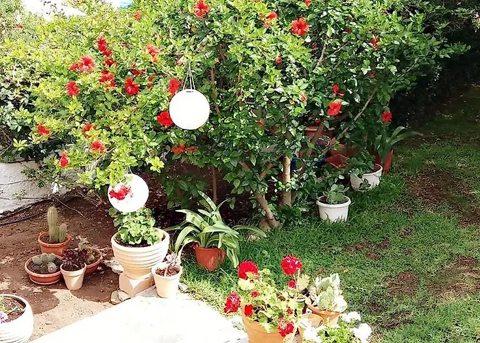 بيت ضيافة Gerania أسوس